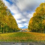 Autumn in Oslo, Norway – Photo Essay Autumn in Oslo, Norway – Photo Essay