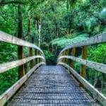 Hiking Wentworth Falls Valley on the Coromandel Peninsula Hiking Wentworth Falls Valley on the Coromandel Peninsula
