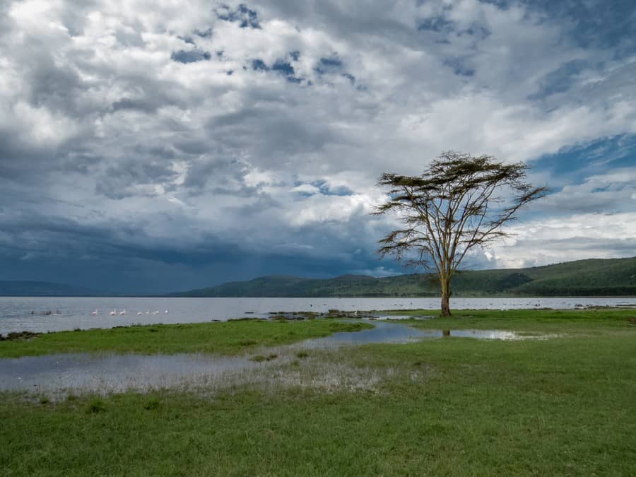 Lake Nakuru National Game Park Kenya