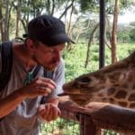 Kissing and feeding Giraffes at the Giraffe Centre in Nairobi, Kenya Kissing and feeding Giraffes at the Giraffe Centre in Nairobi, Kenya