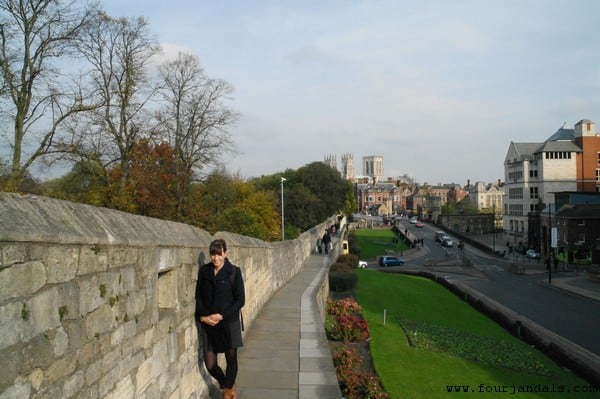 View from York City Wall to the Minster