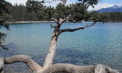 Weekly Hump Day Photo - Lake Beauvert in Jasper National Park