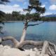 Weekly Hump Day Photo - Lake Beauvert in Jasper National Park