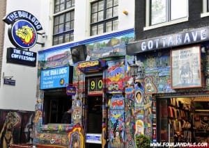 Guide On How To Smoke Weed In Amsterdam