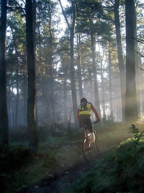 Glentress Mountain Biking Trails in Scotland