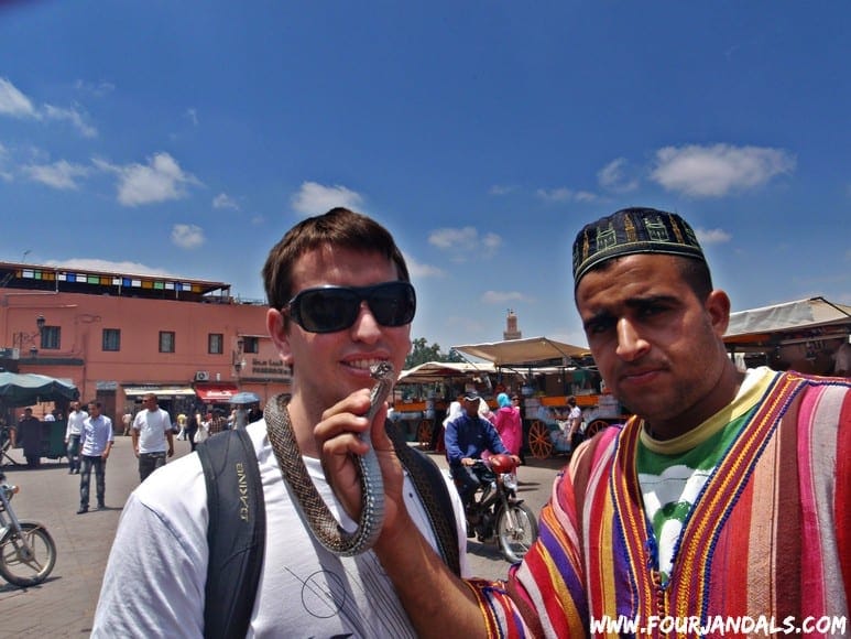 Wash your hands after handling snakes in Marrakech