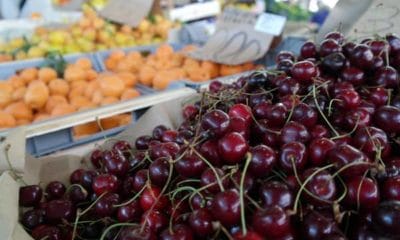 Fresh cherries in La Spezia