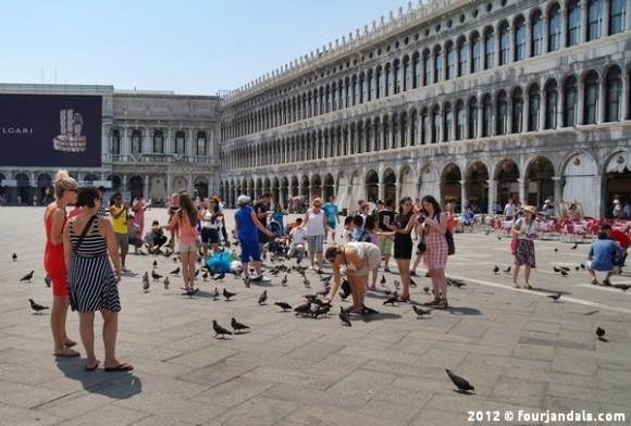 Pigeons in Venice