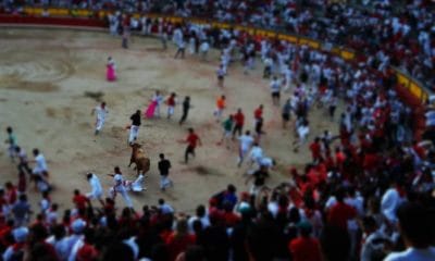 Festival of San Fermin, Running with the Bulls Video, Pamplona