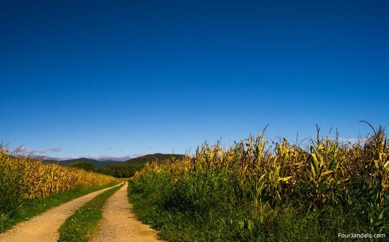 Costa Brava Rail Trail Biking