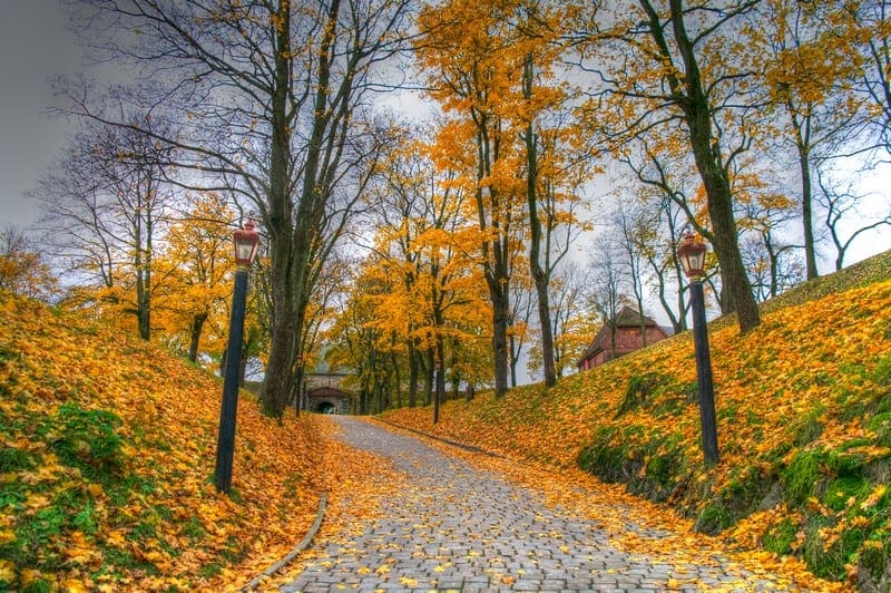 Autumn in Oslo Akershus Castle