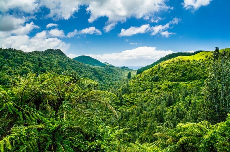 Whangamata Coromandel Peninsula New Zealand