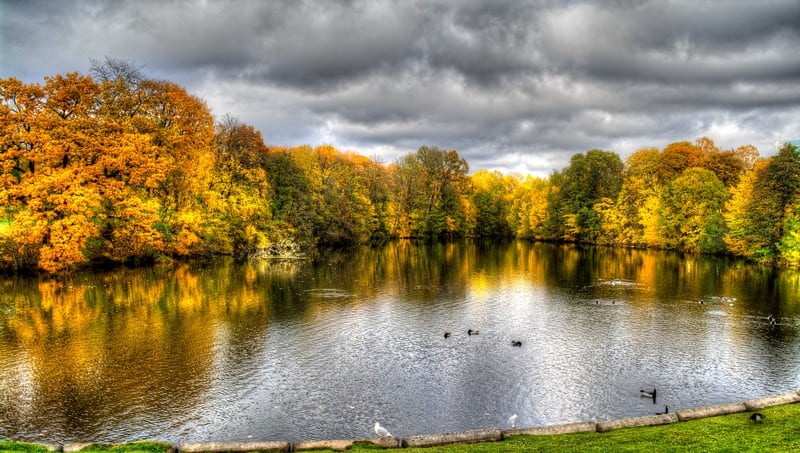 Oslo Autumn Colours Vigeland Park