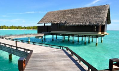 Top 5 Things to do in the Maldives