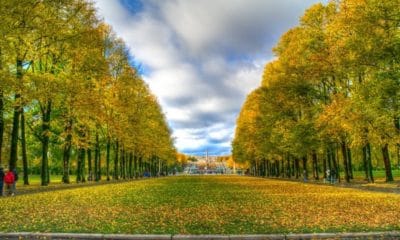 Vigeland Park Autumn Colours Oslo