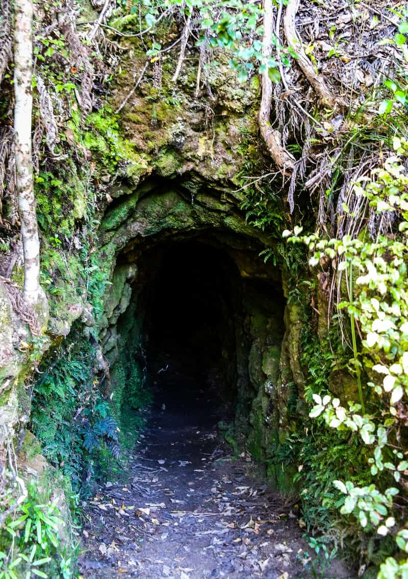 Wentworth Valley, Coromandel Peninsula, Whangamata