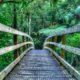 Wentworth Falls Valley Hiking Trail Bridge