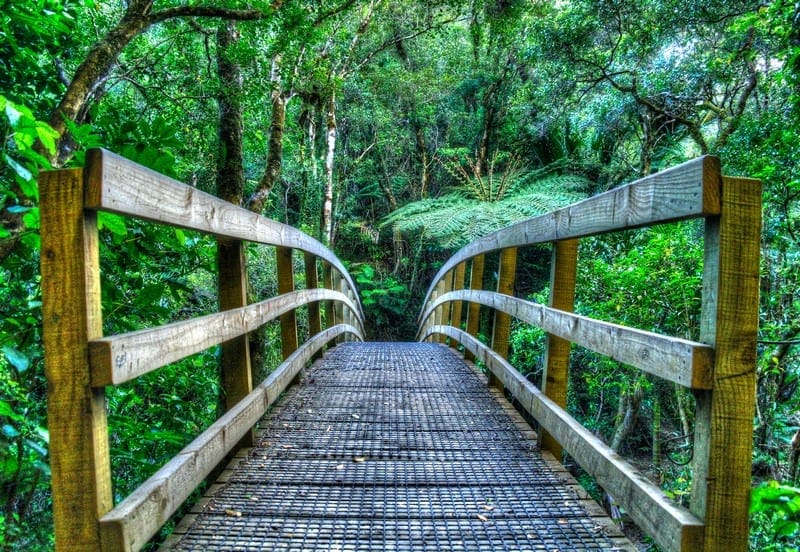 Wentworth Falls Valley Hiking Trail Bridge Wentworth Falls Valley Hiking Trail Bridge, adventure travels