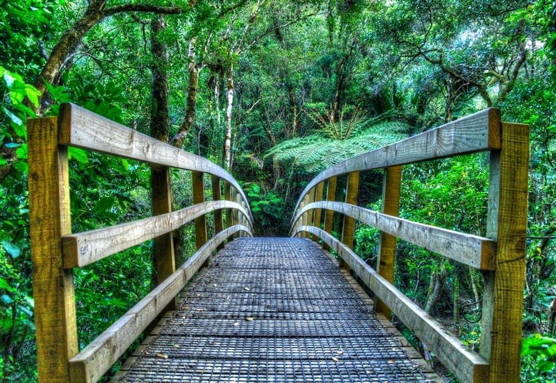 Wentworth Falls Valley Hiking Trail Bridge