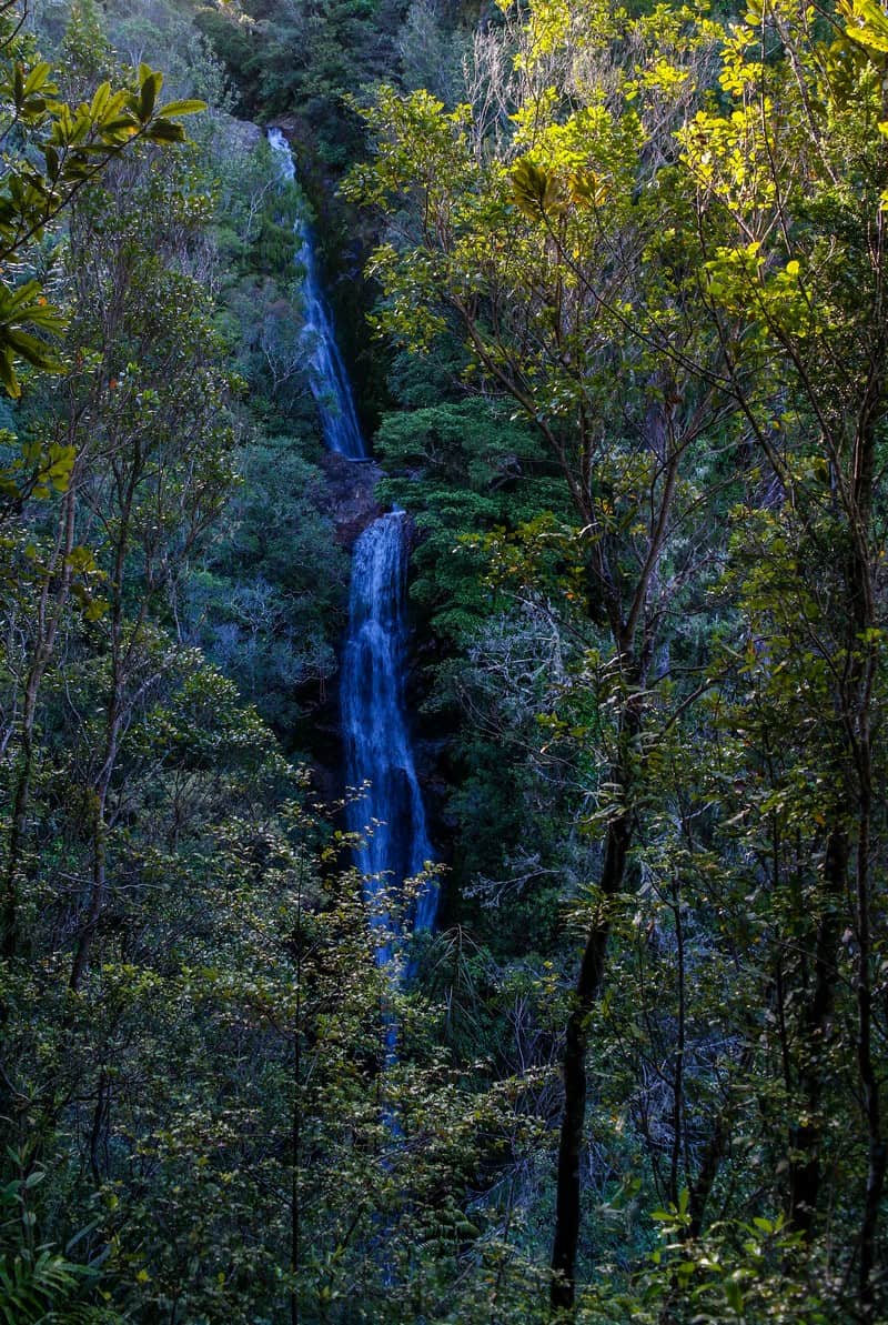 Wentworth Waterfall, Wentworth Valley, Coromandel Peninsula, Whangamata