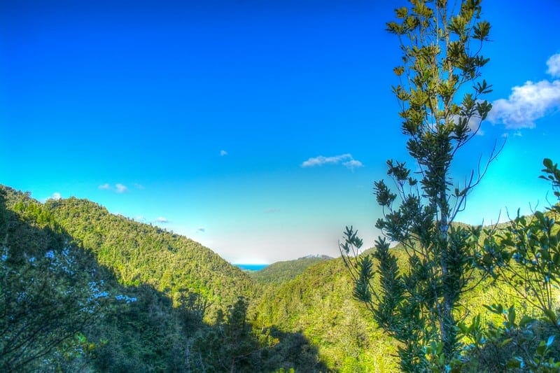 Wentworth Falls Valley view