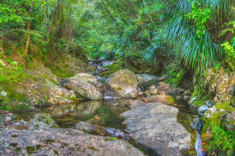 Wentworth Waterfall, Wentworth Valley, Coromandel Peninsula, Whangamata