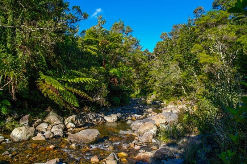 Wentworth Waterfall, Wentworth Valley, Coromandel Peninsula, Whangamata