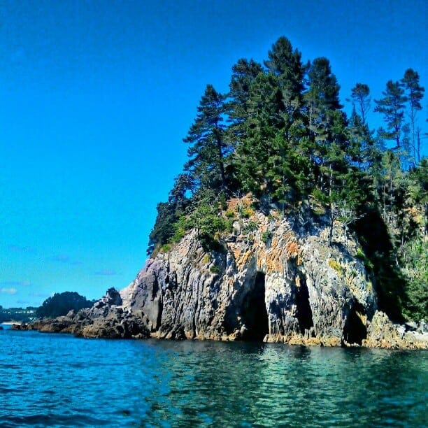 Free diving in Whangamata, Coromandel Peninsula, New Zealand