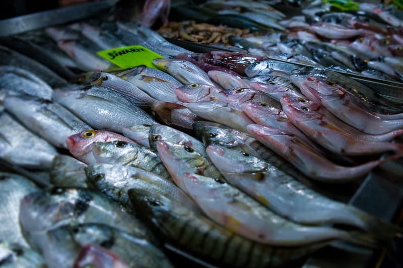 Devouring seafood at the Fethiye Fish Market 52 Fethiye Fish Markets