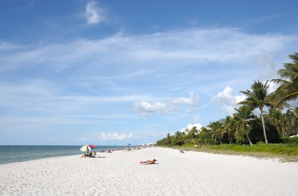 Top 5 Family Vacation Destinations in Florida