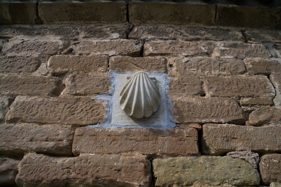 Camino de Santiago Scallop Shell