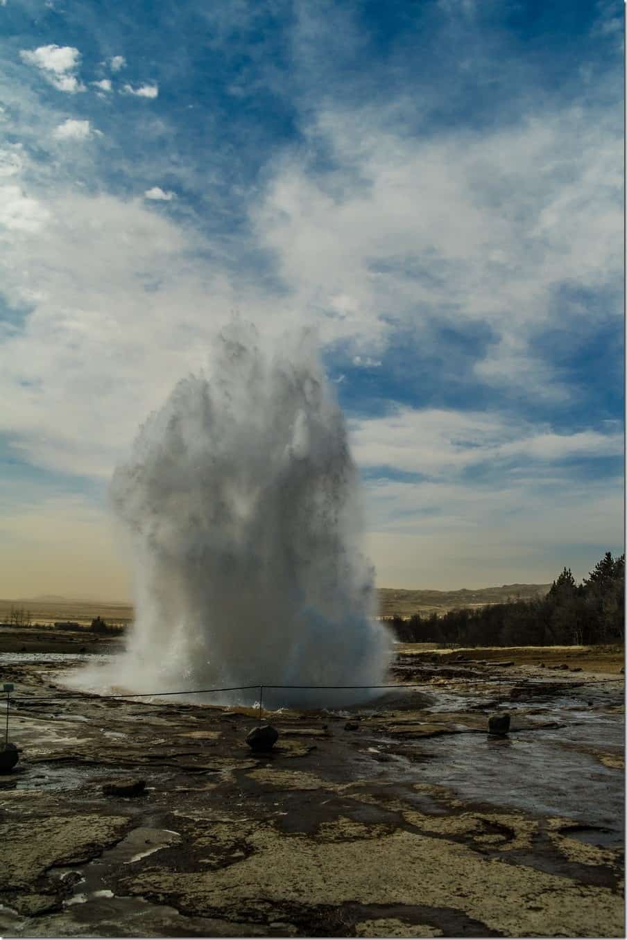 Geysir erupting in Iceland