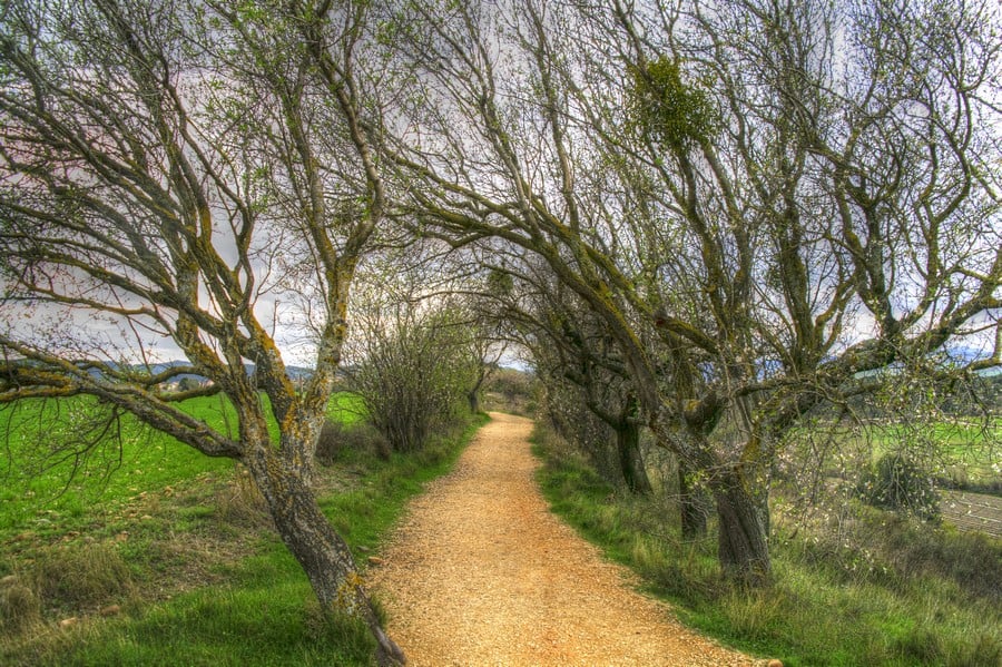 Natural arches - Camino de Santiago