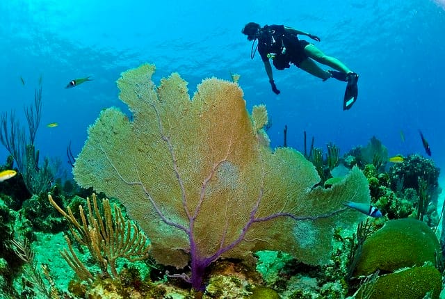 Outdoor Activities in Cuba - Diving