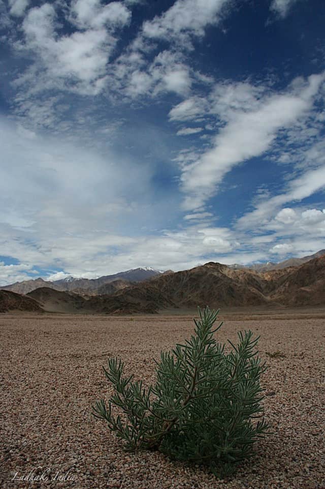 Outdoor Activities in Leh, Ladakh - Trekking