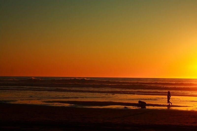 Outdoor Activities In San Francisco Adventure City Guide