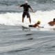 Outdoor activities in Montreal - Surfing