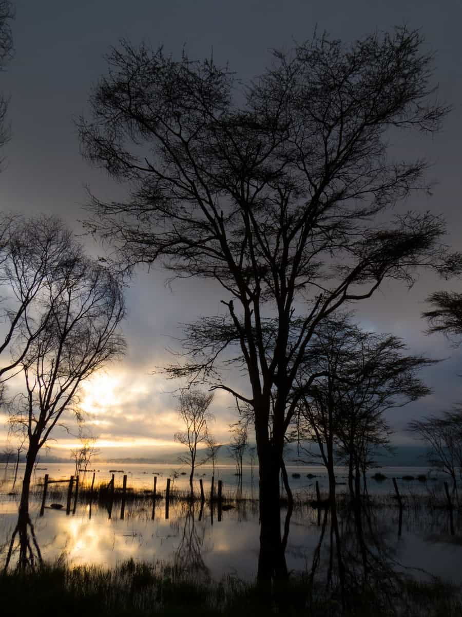 Lake Nakuru National Park Sunrise