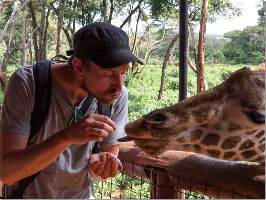 Cole feeding the Giraffes in Nairobi