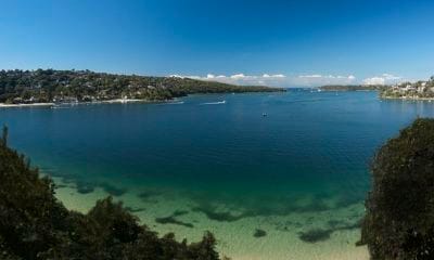 Outdoor Activites in Sydney - Spit Bridge