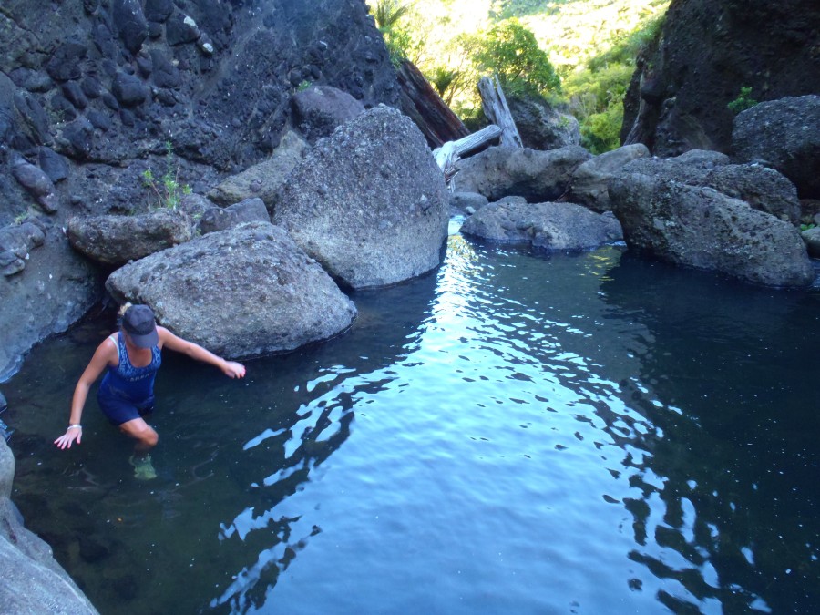 Wading up Pararaha Stream in the Waitakere Ranges