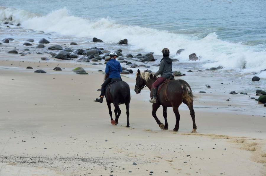Real adventures Aussie style 37 Horse riding