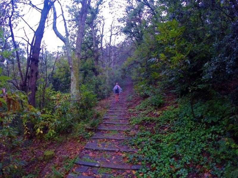 Old steps near Biassa