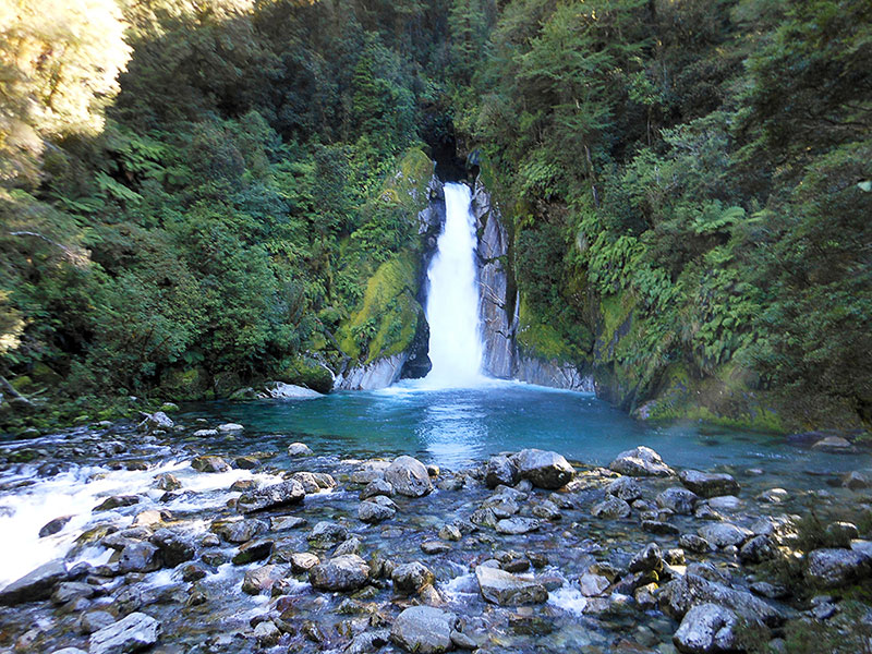 Giant Gate Falls Milford Track