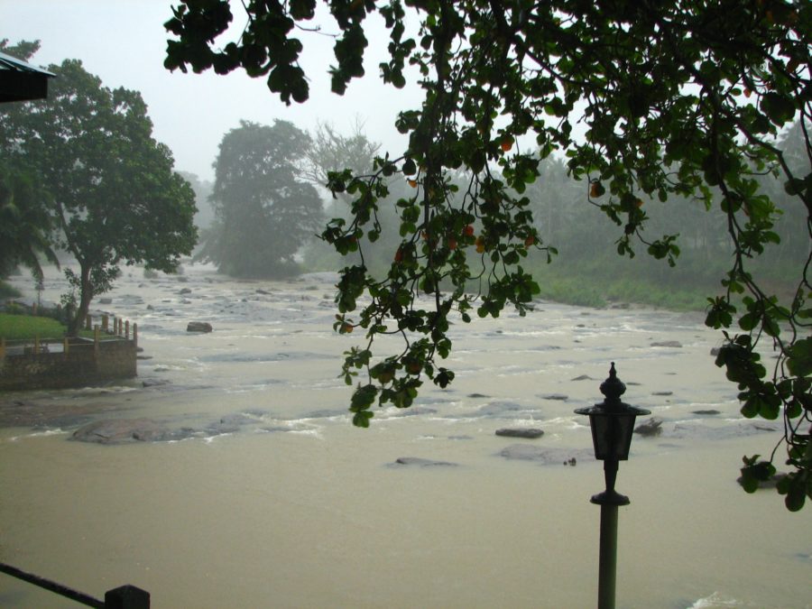 Preparing for your first trip to Sri Lanka: What you should think about 39 3