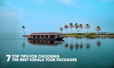 Top 7 tips for choosing the best Kerala tour packages 1