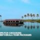 Top 7 tips for choosing the best Kerala tour packages 1