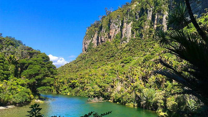 6 of The Most Important Travel Trends for 2019 36 Pororari River. Image credit - New Zealand Trails