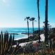 agave beach cactus california 360698