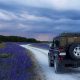 black suv in between purple flower fields 754595